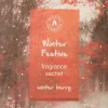Intratuin geurzakje Winter Festive winterbes