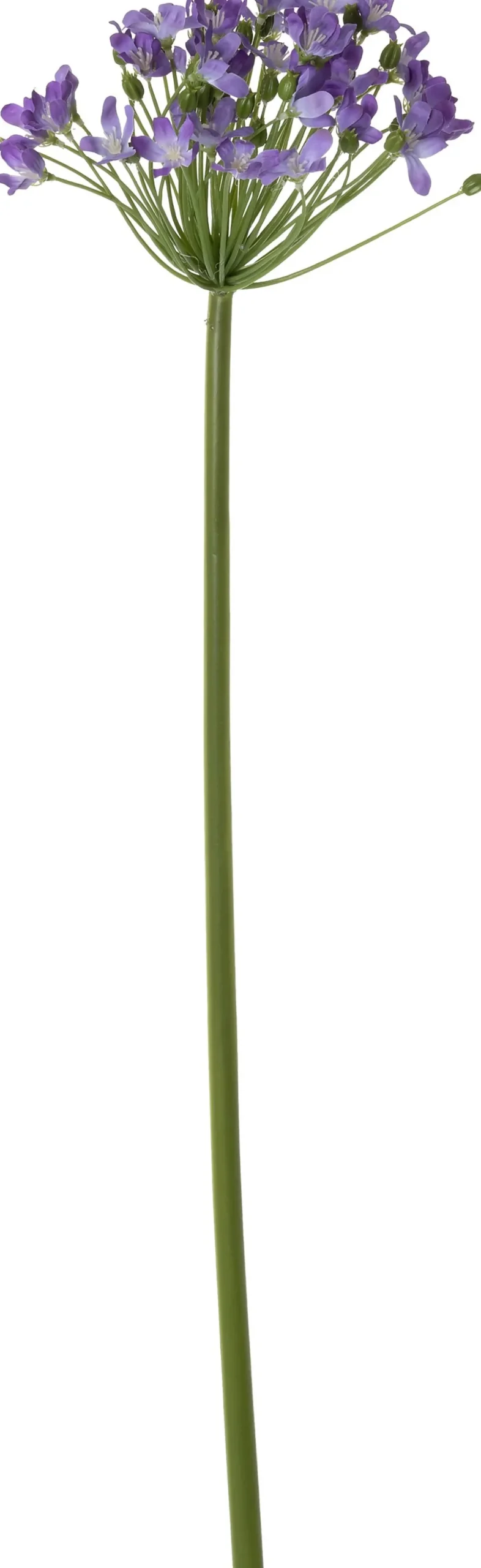 Intratuin kunstbloem Afrikaanse Lelie paars H 89 cm