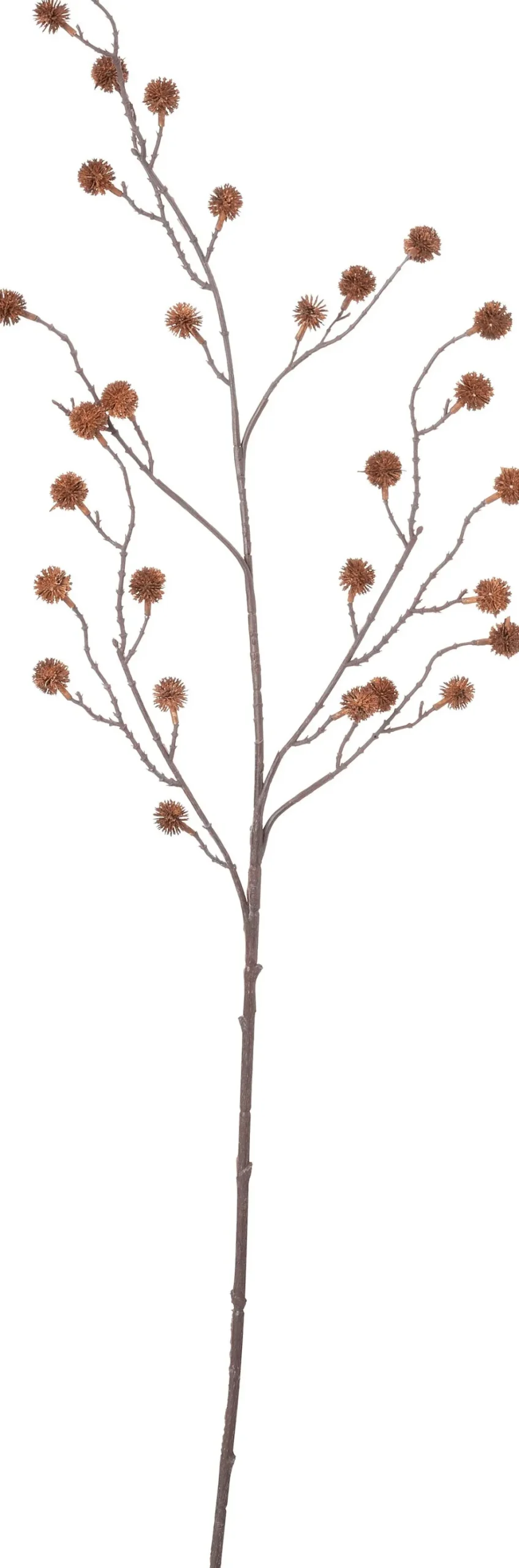 Intratuin kunstbloem Distel bruin H 102 cm