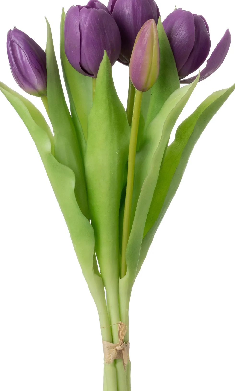Intratuin kunstbloemen boeket Tulp paars H 31 cm