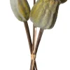 Intratuin kunstbloemen boeket Klaproos bruin H 25 cm