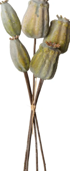 Intratuin kunstbloemen boeket Klaproos bruin H 25 cm