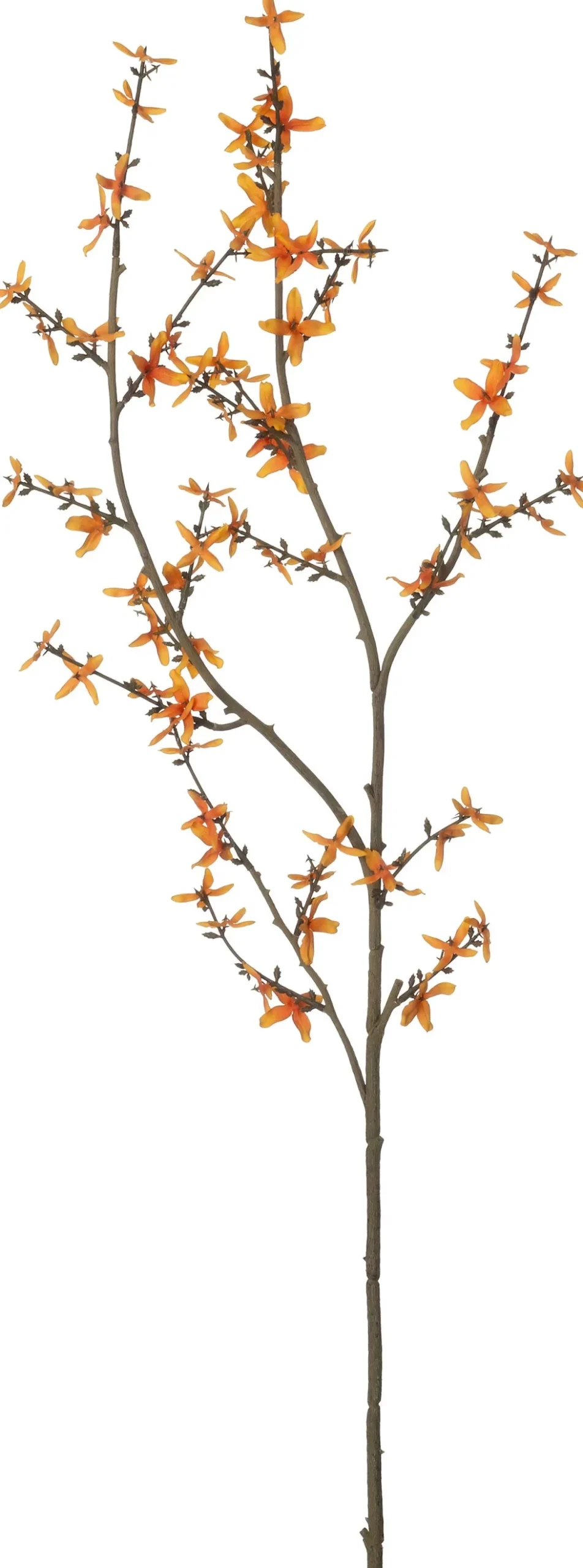 Intratuin kunstbloem Forsythia oranje H 115 cm