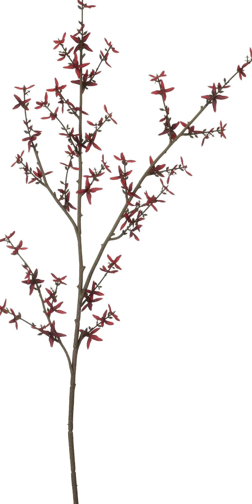 Intratuin kunstbloem Forsythia rood H 115 cm