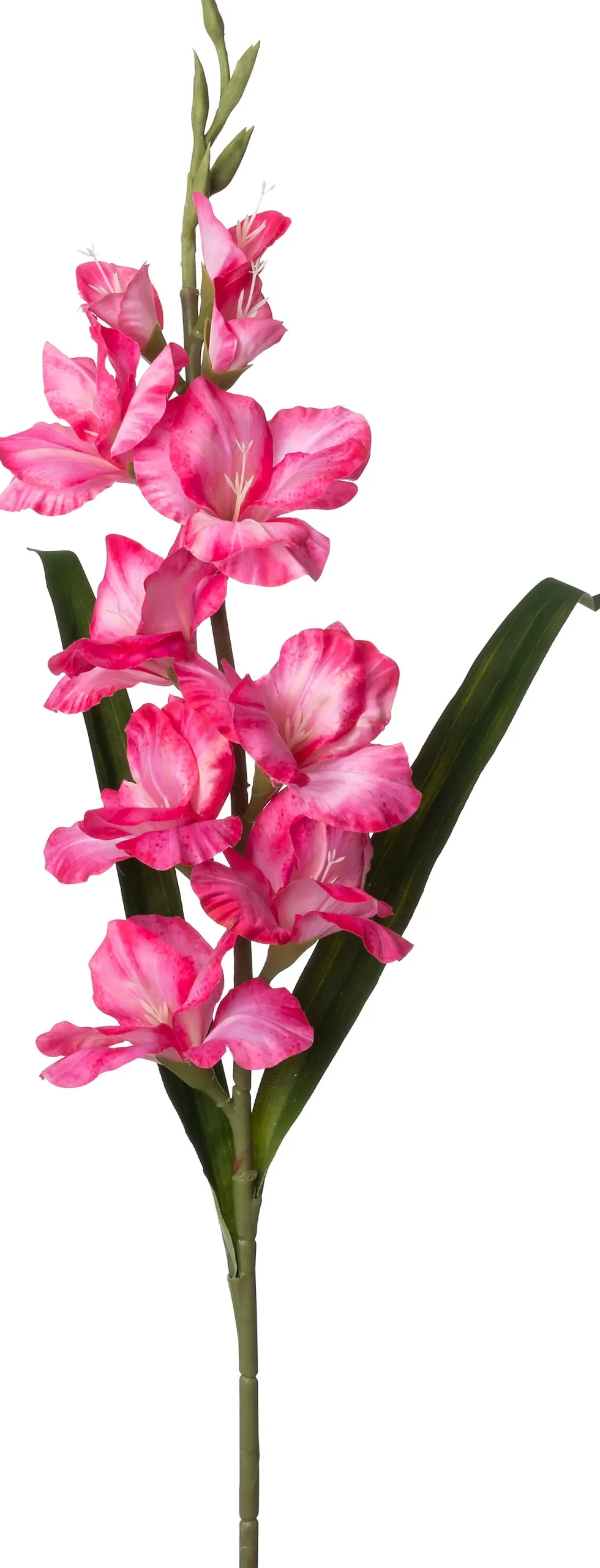 Intratuin kunstbloem Gladiool roze H 102 cm