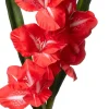 Intratuin kunstbloem Gladiool rood H 102 cm