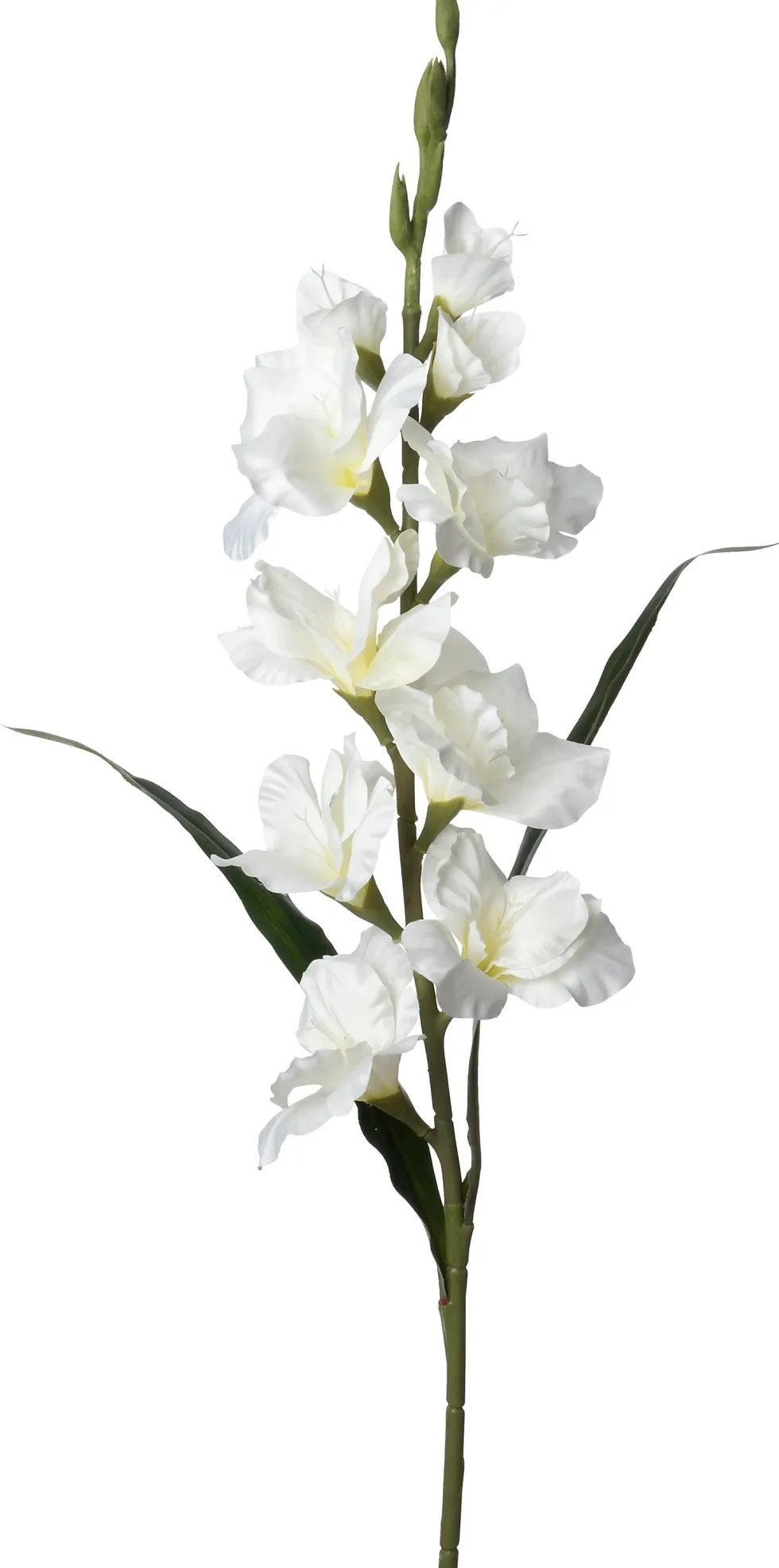 Intratuin kunstbloem Gladiool wit H 102 cm