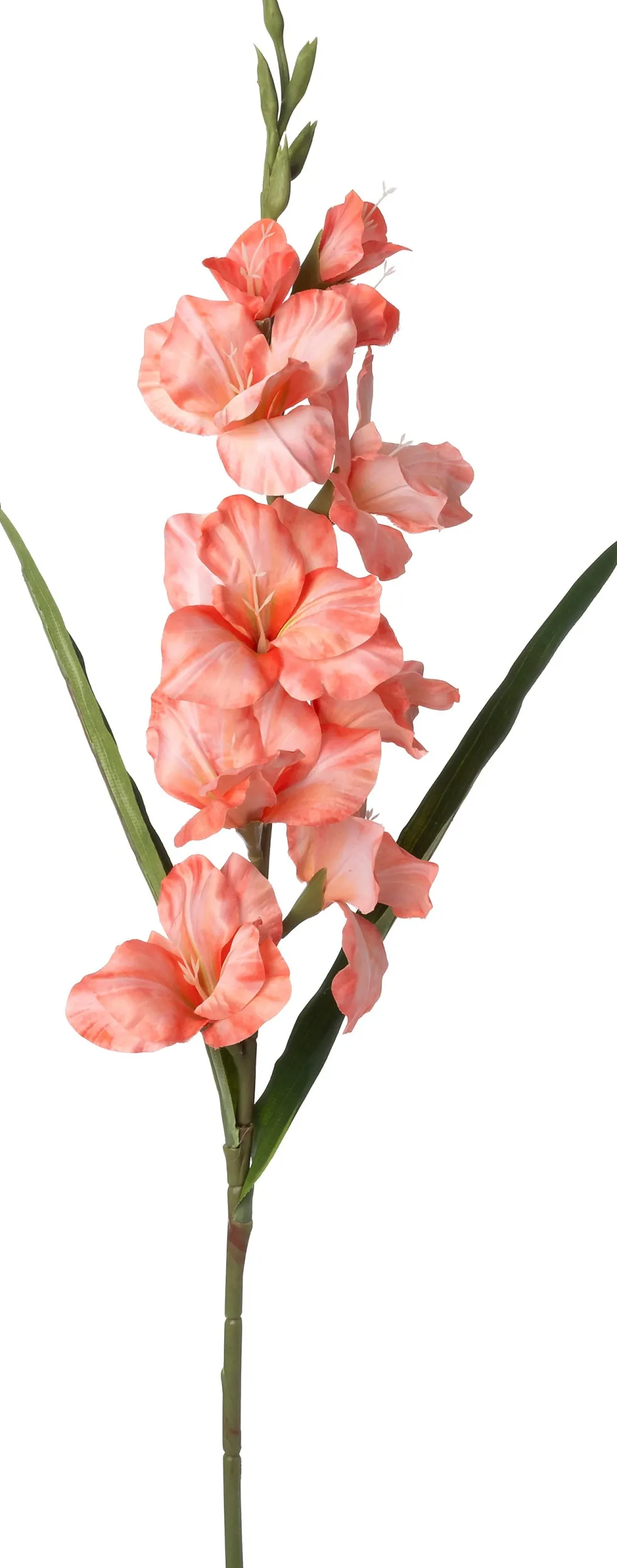 Intratuin kunstbloem Gladiool oranje H 102 cm