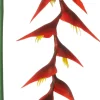 Intratuin kunstbloem Heliconia rood H 137 cm