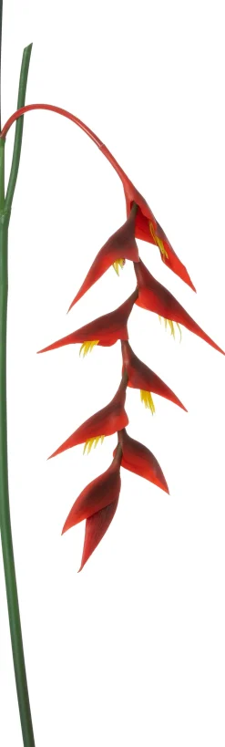 Intratuin kunstbloem Heliconia rood H 137 cm