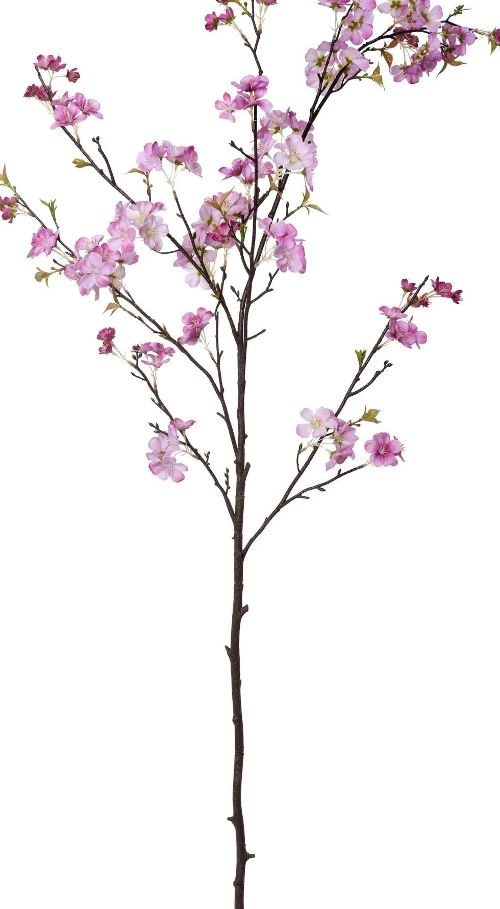 Intratuin kunstbloem Japanse Sierkers roze H 150 cm