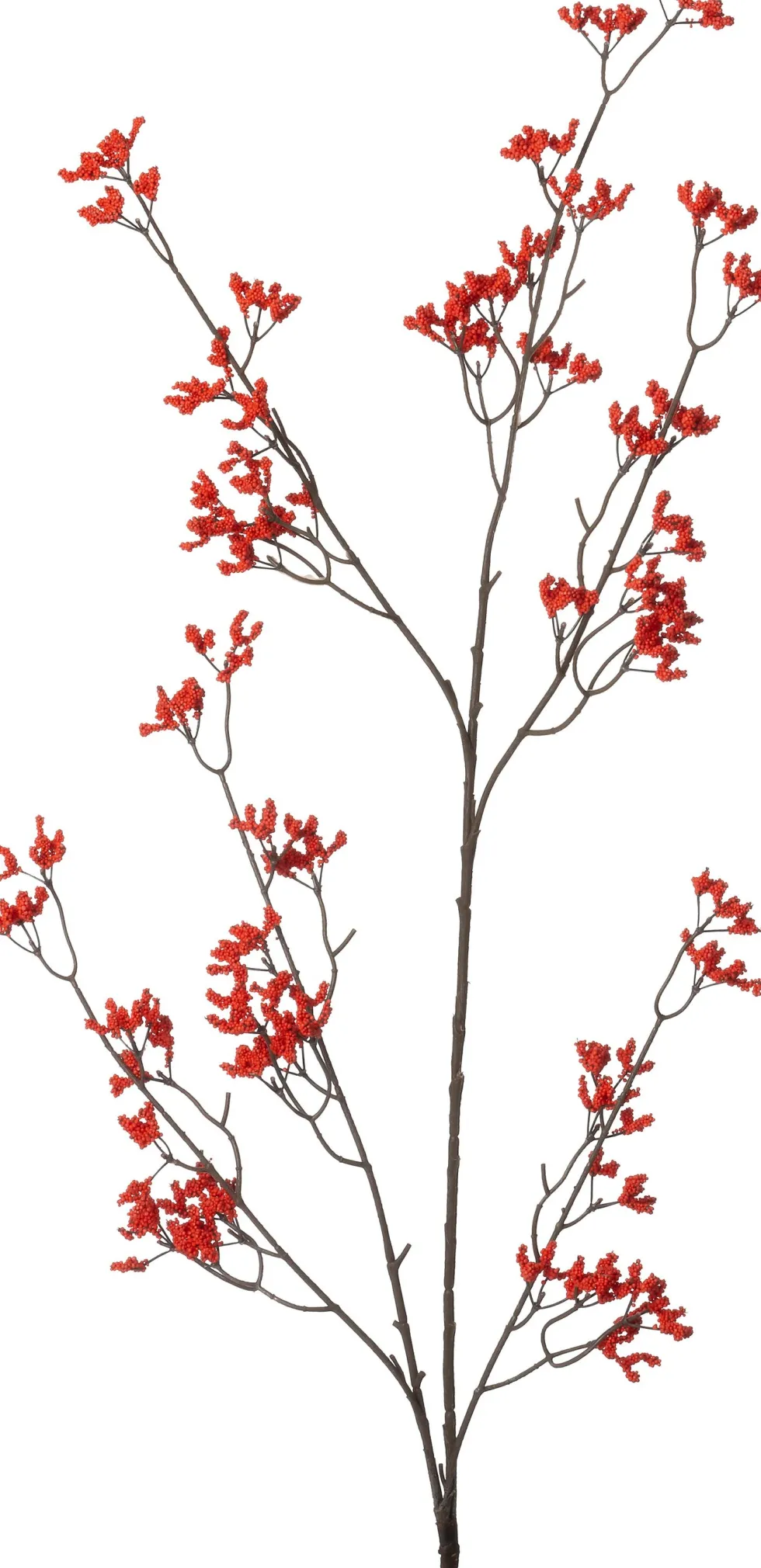 Intratuin kunstbloem Lamsoor rood H 120 cm