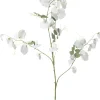 Intratuin kunstbloem Lathyrus wit H 113 cm
