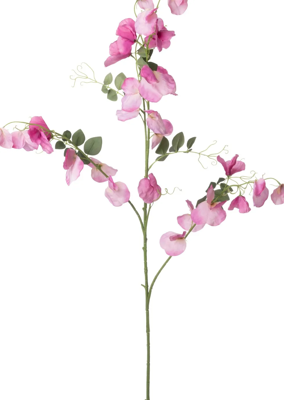 Intratuin kunstbloem Lathyrus roze H 113 cm