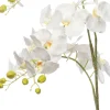 Intratuin kunstbloem Orchidee wit H 137 cm