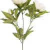 Intratuin kunstbloem Pioenroos wit H 73 cm