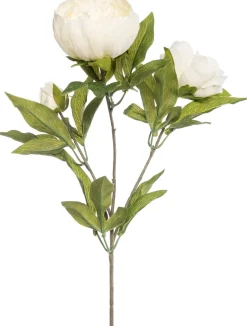 Intratuin kunstbloem Pioenroos wit H 73 cm