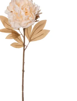 Intratuin kunstbloem Pioenroos crème H 77 cm