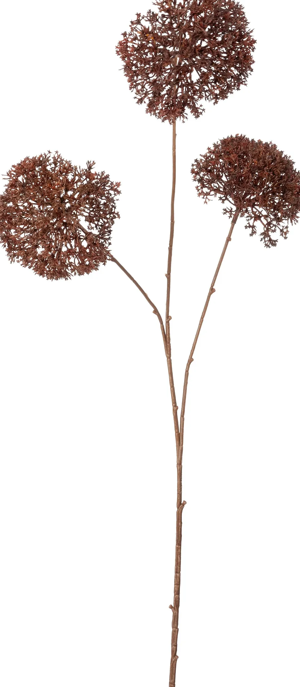 Intratuin kunstbloem Wilde peen bruin H 91 cm