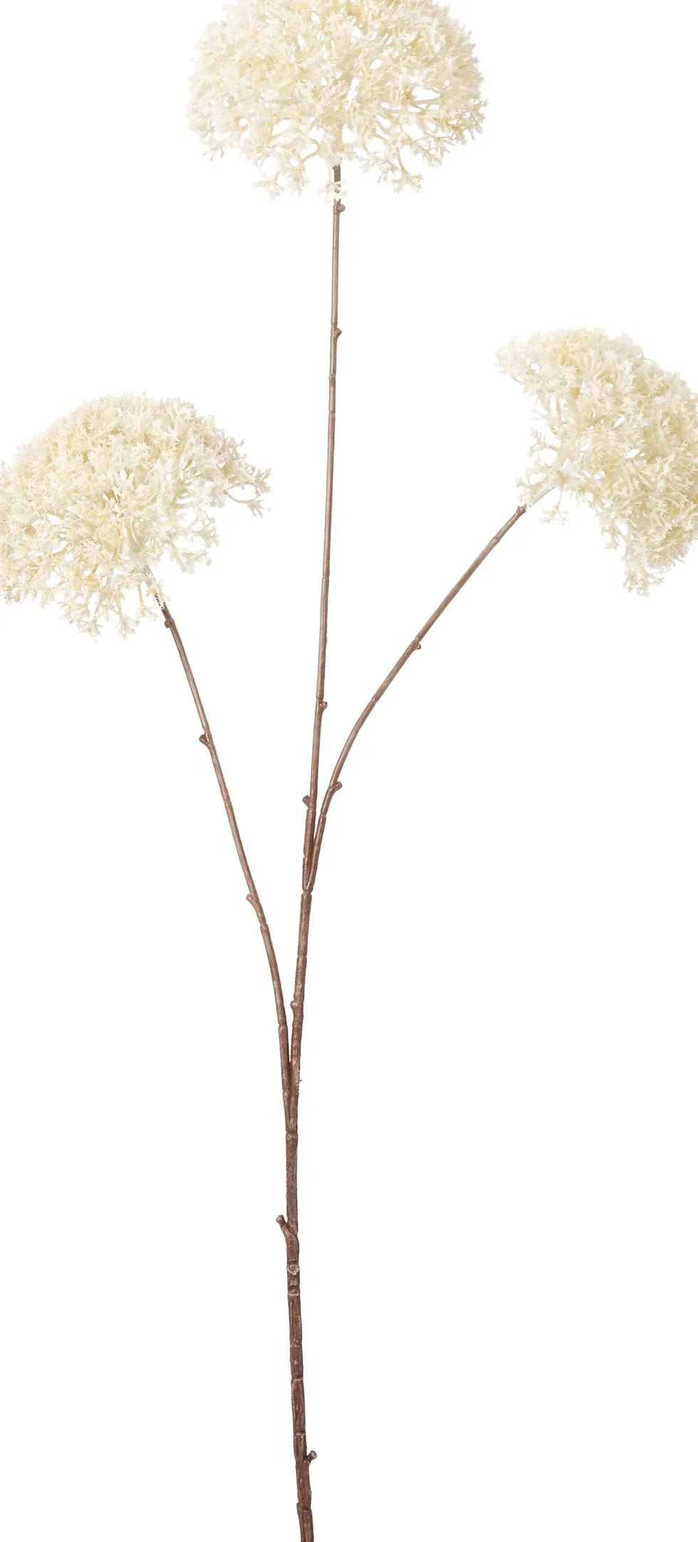Intratuin kunstbloem Wilde peen crème H 91 cm
