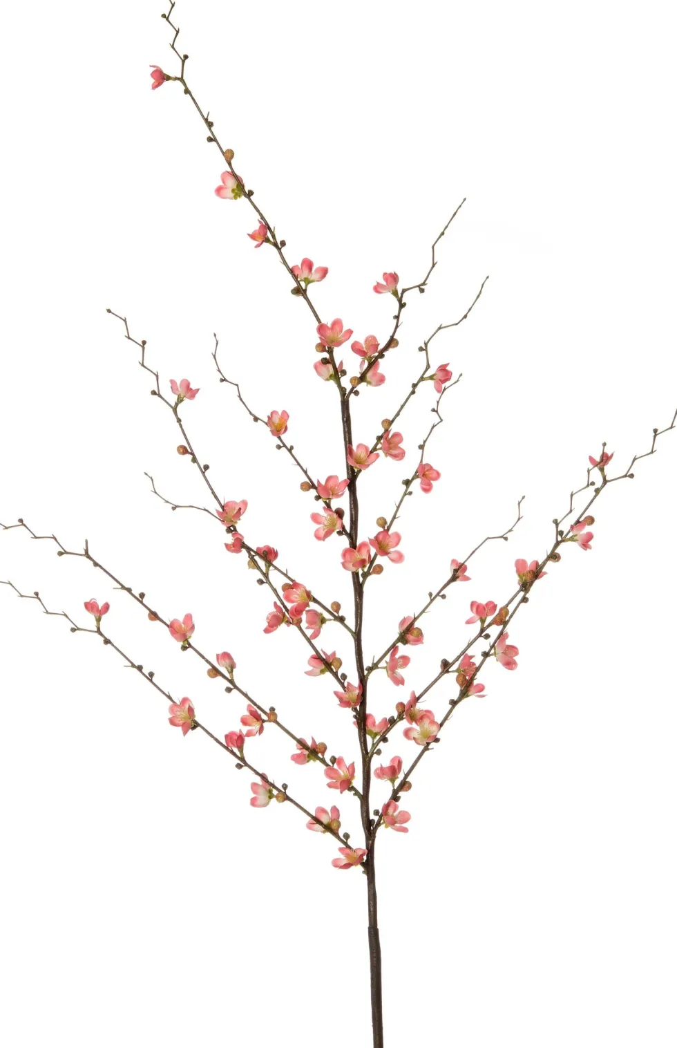 Intratuin kunstbloem Winterzoet roze H 138 cm