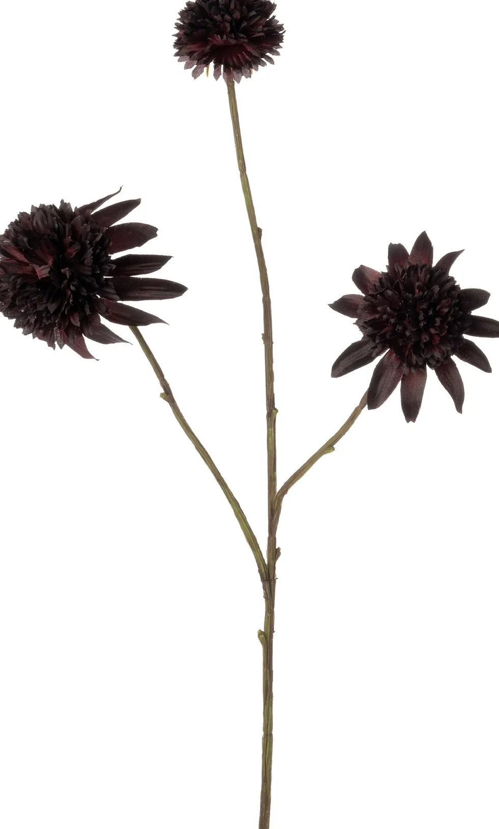 Intratuin kunstbloem Zonnehoed bordeaux H 64 cm