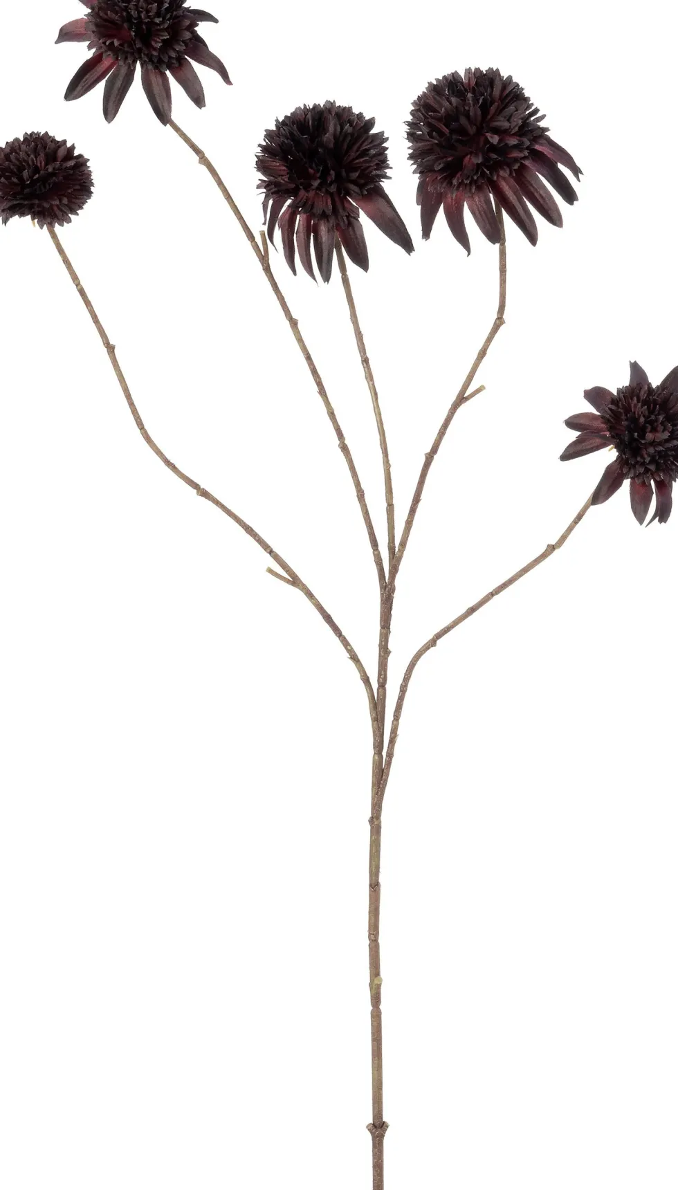 Intratuin kunstbloem Zonnehoed bordeaux H 92 cm