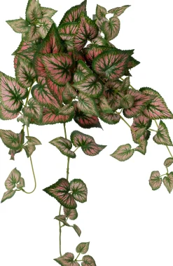 Intratuin kunsthangplant Bladbegonia rood / groen H 60 cm