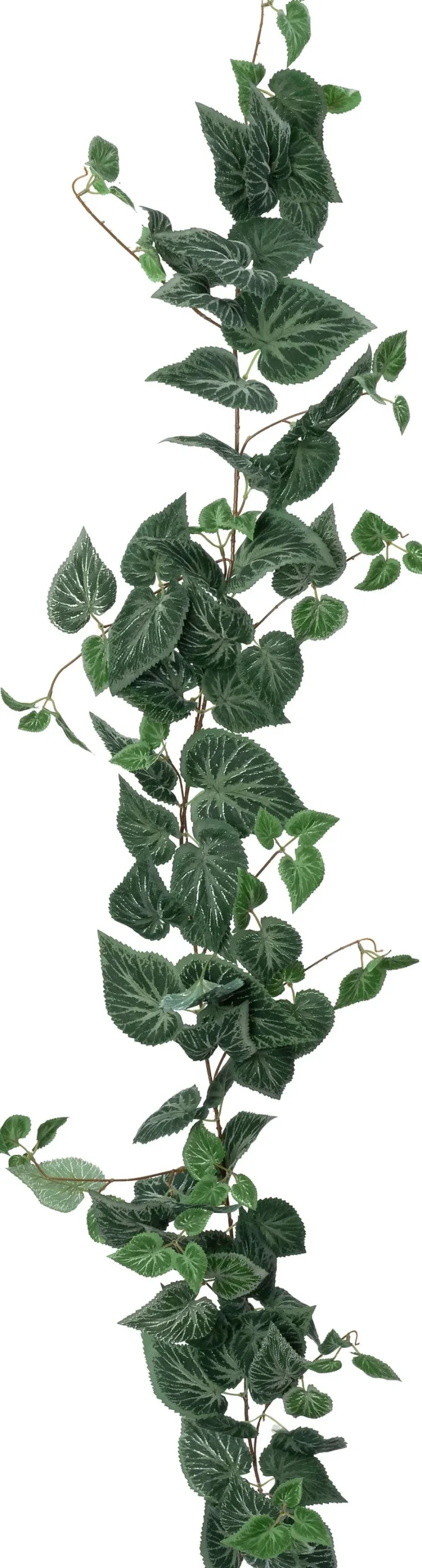 Intratuin kunsthangplant Bladbegonia H 170 cm