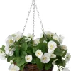 Intratuin kunsthangplant Bosviooltje wit H 50 cm