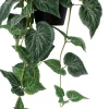 Intratuin kunsthangplant Cissus H 24 cm