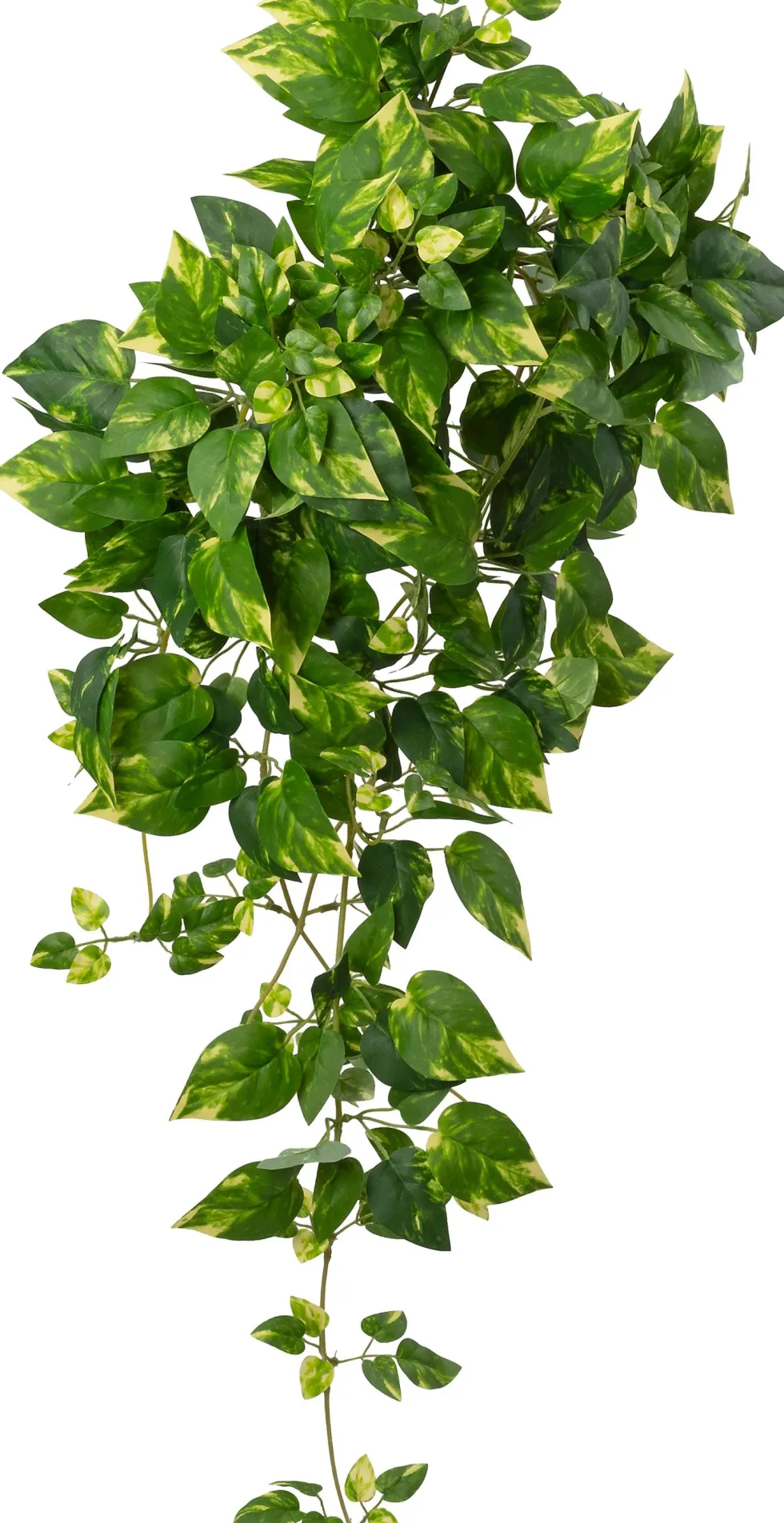 Intratuin kunsthangplant Drakenklimop geelbont H 90 cm