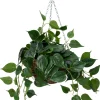 Intratuin kunsthangplant Drakenklimop H 50 cm