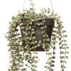 Intratuin kunsthangplant Erwtenplant grijsgroen H 56 cm