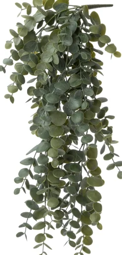 Intratuin kunsthangplant Eucalyptus H 60 cm