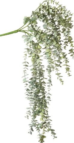 Intratuin kunsthangplant Eucalyptus H 78 cm