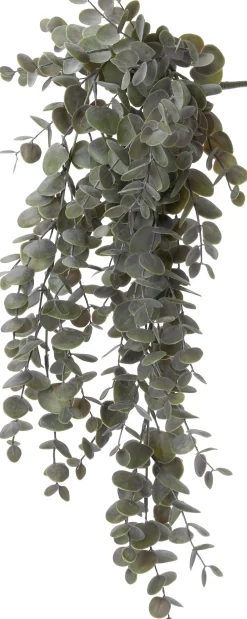 Intratuin kunsthangplant Eucalyptus paarsgroen H 60 cm