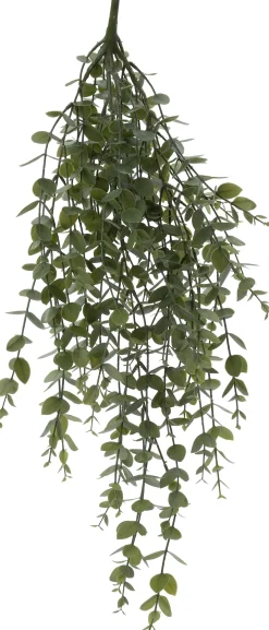 Intratuin kunsthangplant Eucalyptus H 71 cm