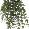 Intratuin kunsthangplant Eucalyptus witbont H 60 cm