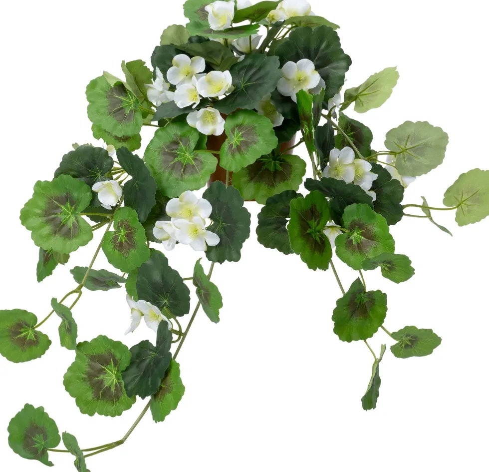 Intratuin kunsthangplant Hanggeranium wit H 55 cm