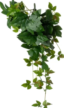 Intratuin kunsthangplant Klimop H 60 cm