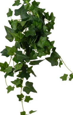 Intratuin kunsthangplant Klimop donkergroen H 60 cm