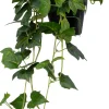 Intratuin kunsthangplant Klimop H 115 cm
