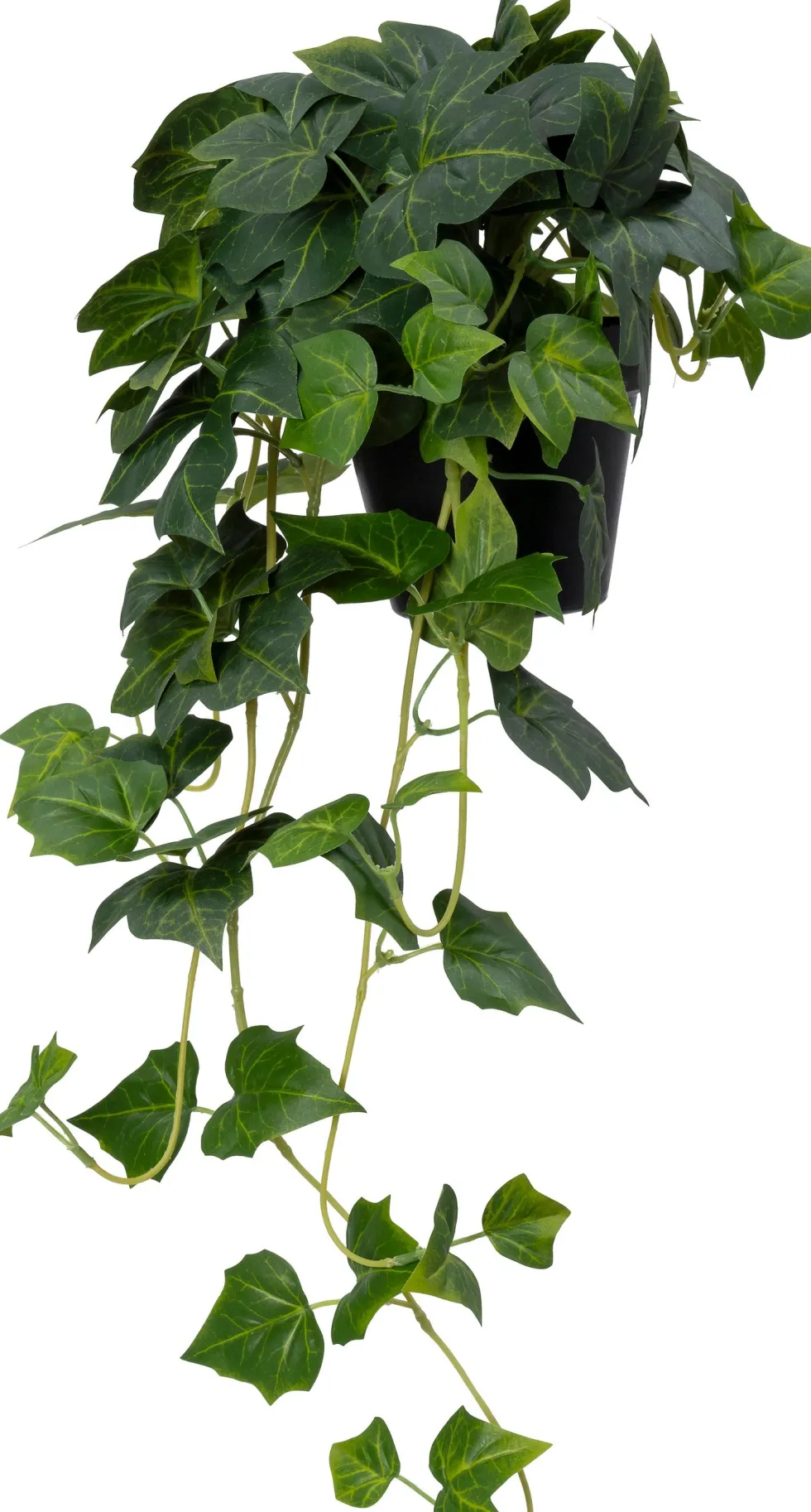 Intratuin kunsthangplant Klimop H 115 cm