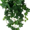Intratuin kunsthangplant Klimop / wilde wingerd H 60 cm