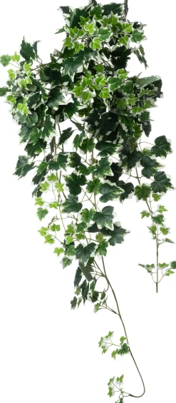 Intratuin kunsthangplant Klimop witbont H 100 cm