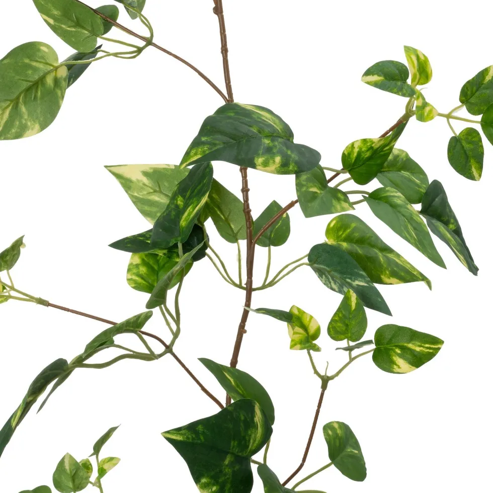 Intratuin kunsthangplant Klimop groen / geel H 170 cm