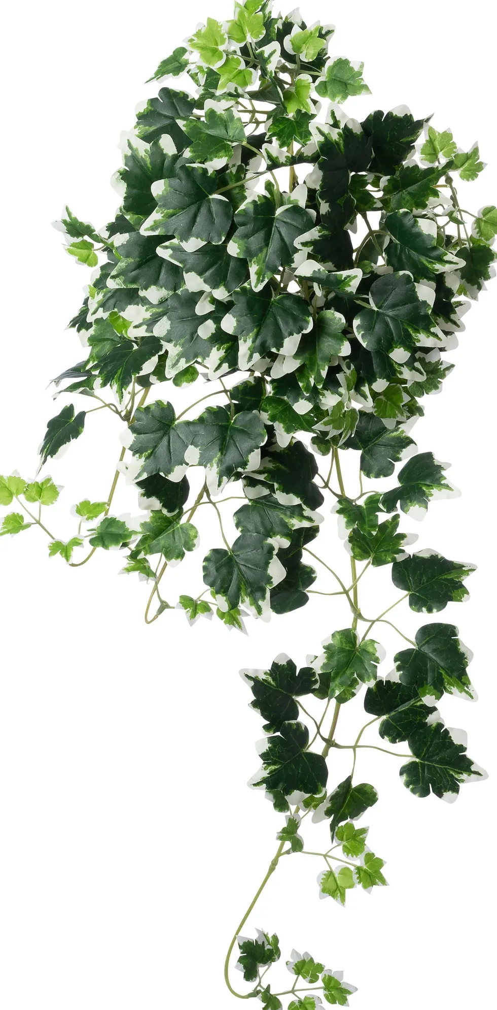 Intratuin kunsthangplant Klimop groen / wit H 60 cm