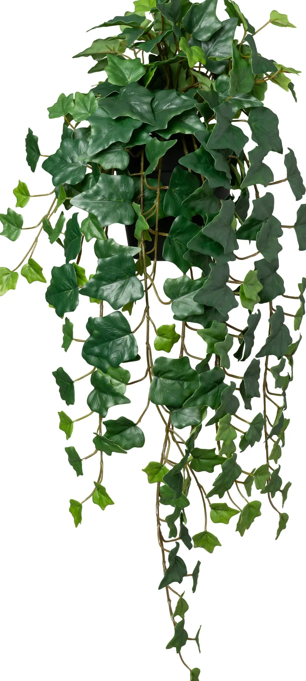 Intratuin kunsthangplant Klimop donkergroen D 15 H 75 cm