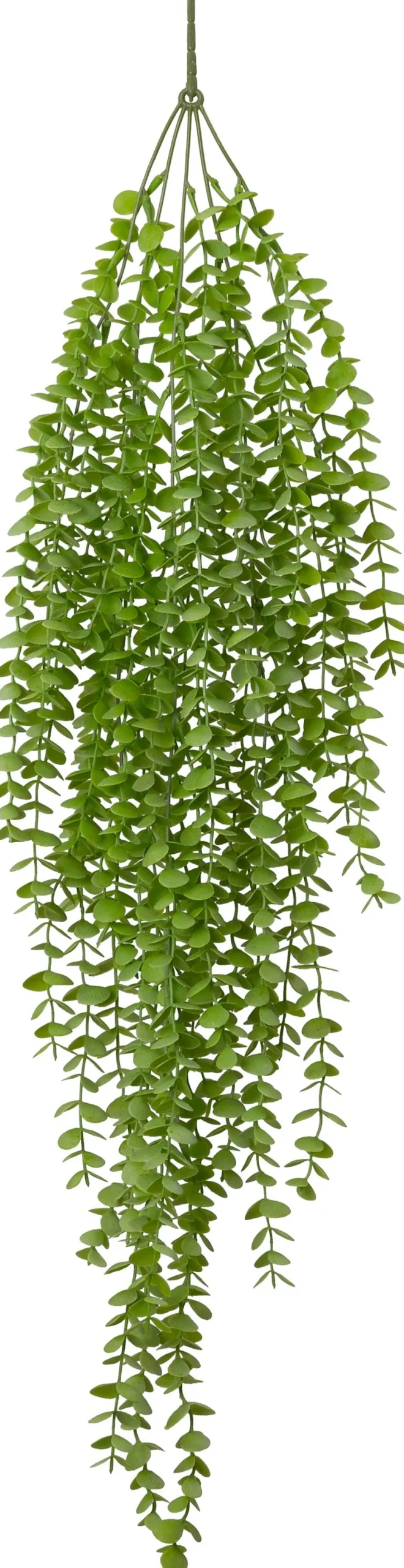 Intratuin kunsthangplant Kruiskruid witbont H 90 cm